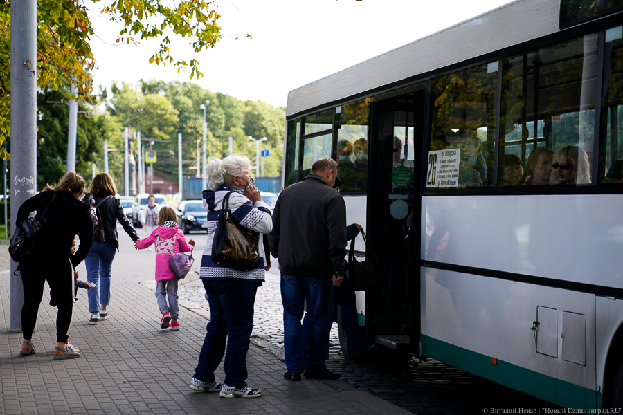 Власти Калининграда с помощью брусчатки решили придать остановкам «изюминку»