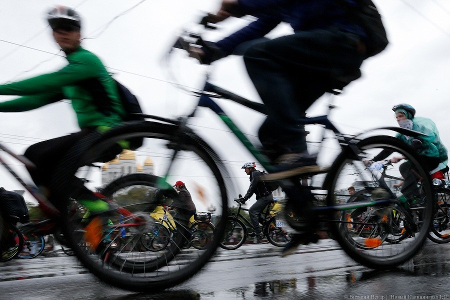 В Калининграде угнали велосипед сотрудницы регионального правительства