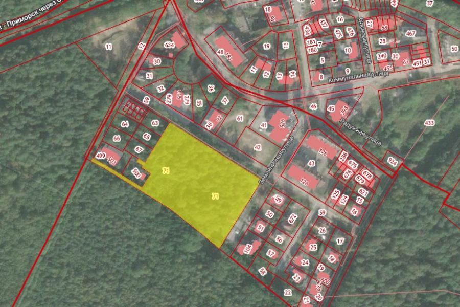 В Светлогорске за 140 млн продают лес, который Алиханов оставил в зоне жилой застройки