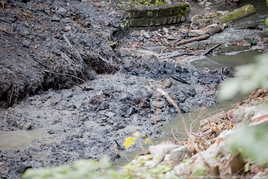 Около бывшей «Сказки» строители завалили глиной русло Паркового ручья (фото)