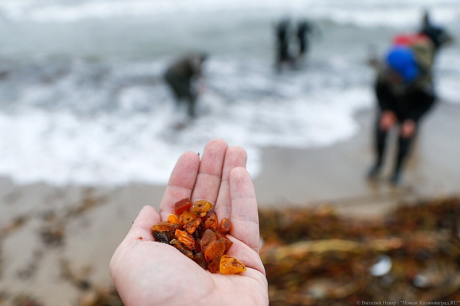 Дания экстрадировала вымогателя денег у калининградских ныряльщиков за янтарем