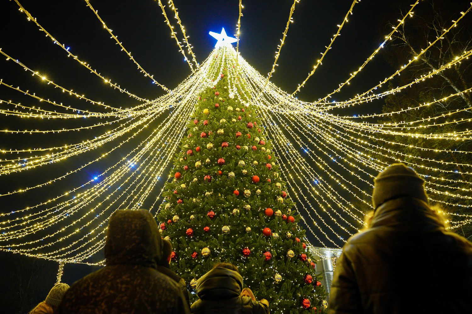 Власти Зеленоградска потребовали от бизнеса украсить фасады до 15 ноября