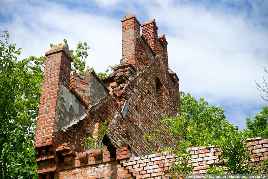 Забытые могилы: кирха и кладбище в поселке Тишино зарастают деревьями