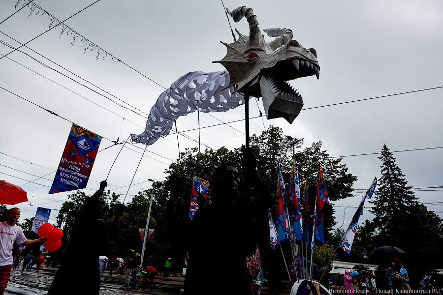 Праздник под дождем: как в Калининграде прошел День города (фото)