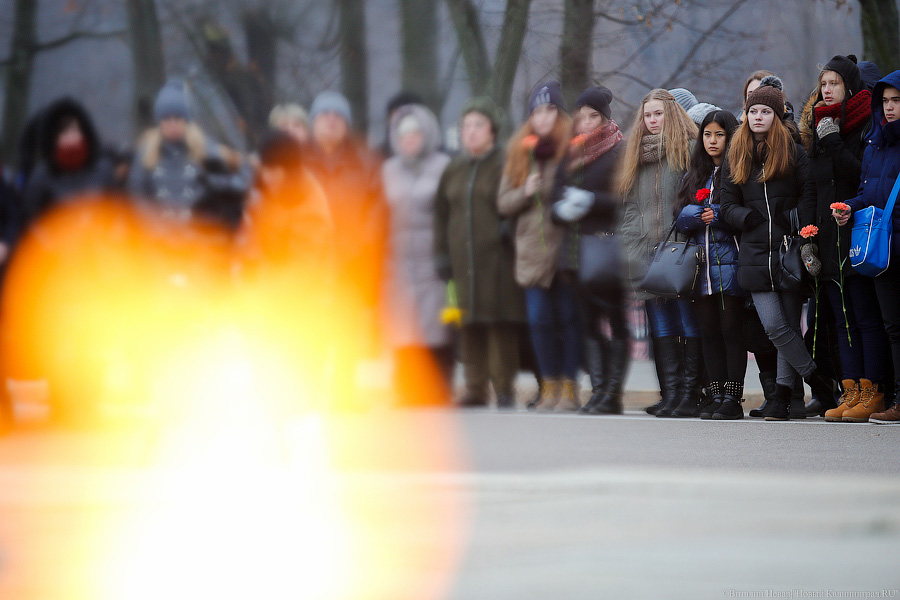 «До них дошло»: открытое письмо ветерана о «Кургане славы» попало в цель