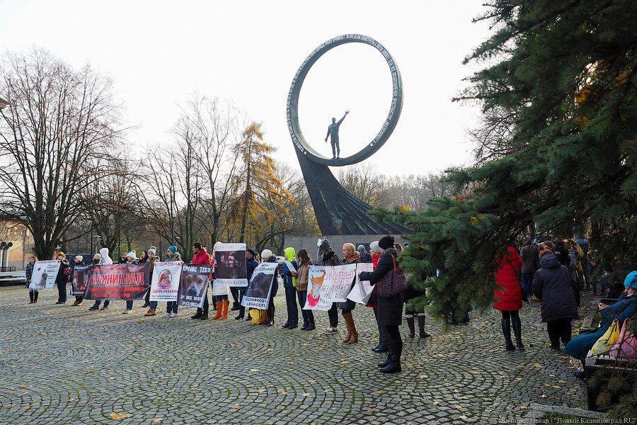 За что нас убивают?: как в Калининграде митинговали в защиту животных