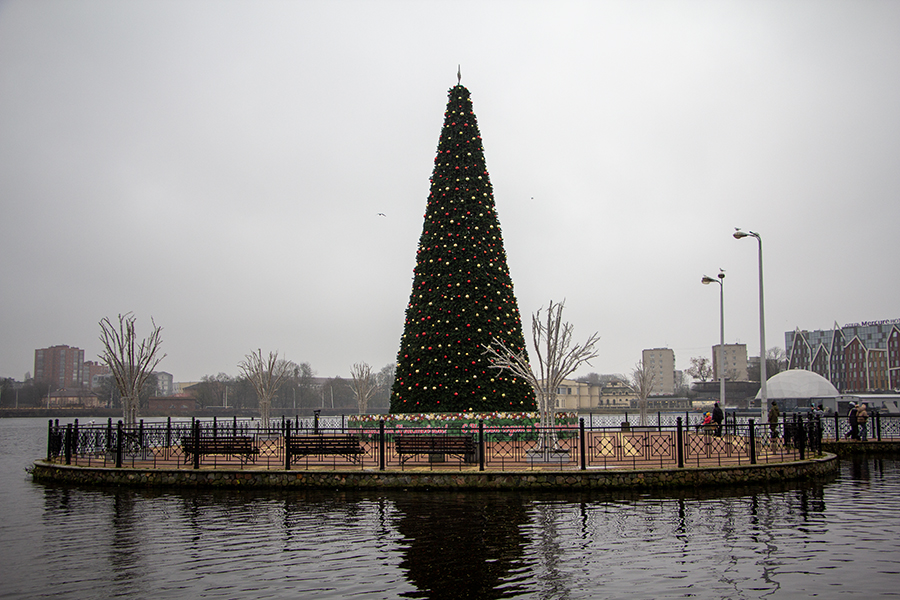 До +10°C и периодические дожди: прогноз погоды в Калининграде на неделю