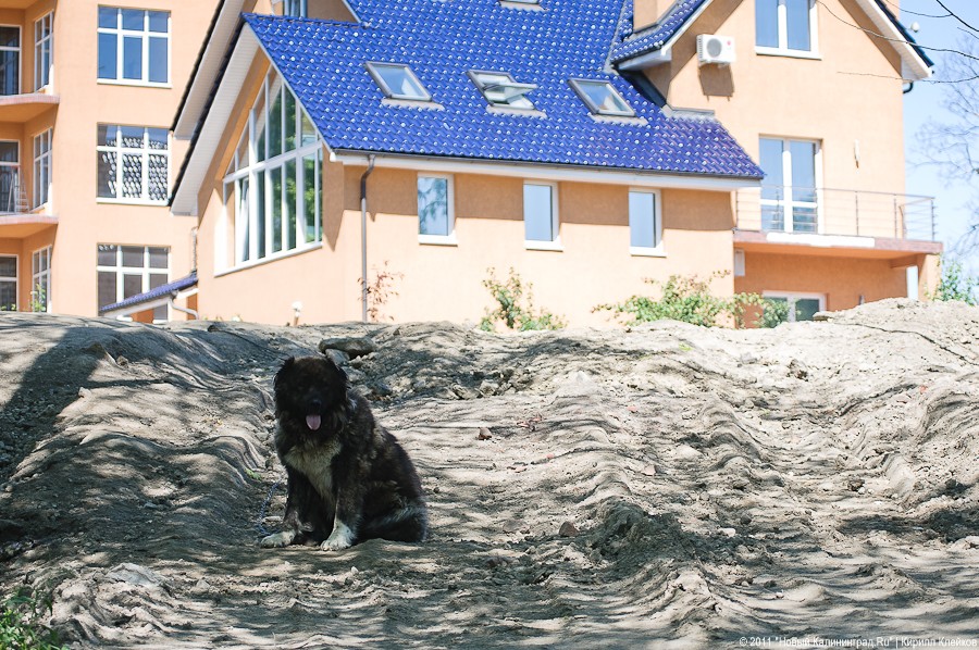 «Ты кем засыпанный, ручей?»: репортаж «Нового Калининграда.Ru»