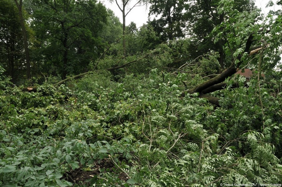 Последствия погрома на Ялтинской: фоторепортаж "Нового Калининграда.Ru"