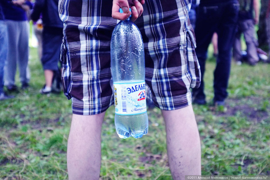 "Насекомая страна": фоторепортаж "Афиши Нового Калининграда.Ru"