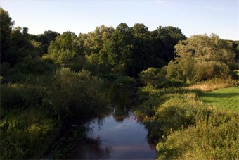 «Правдинский водоканал» загрязнял реку Лава