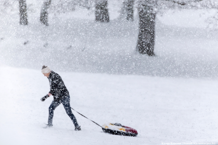 Пролетая на ватрушке: как в Центральном парке катаются с горки вопреки запретам (фото)