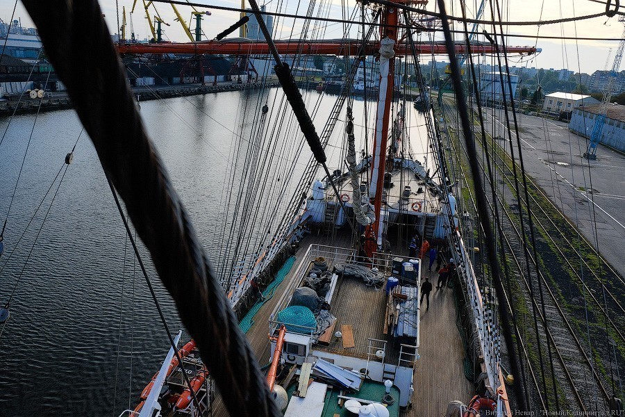 «Мама поседеет, папе пофиг»: «Крузенштерн» и «Седов» готовятся к кругосветке (фото)