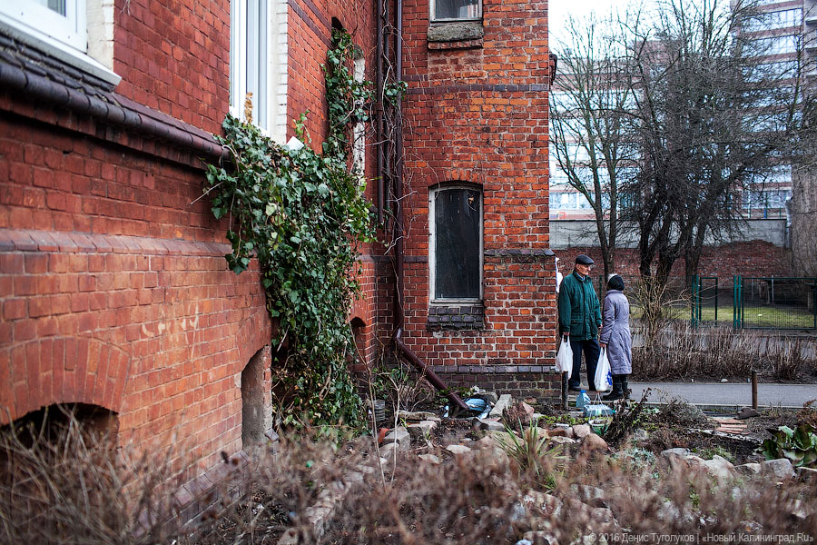 Кёнигсберг в Калининграде: как проходят «народные» экскурсии по улицам города