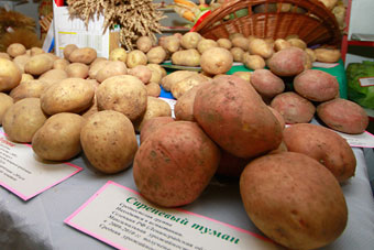 Стоимость минимального набора продуктов за полгода увеличилась на 11%