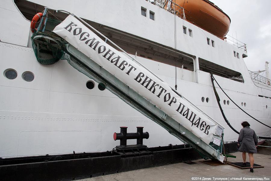 Фото: Виталий Невар / Новый Калининград