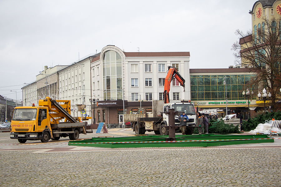 На площади Победы начали устанавливать новую ёлку (фото)