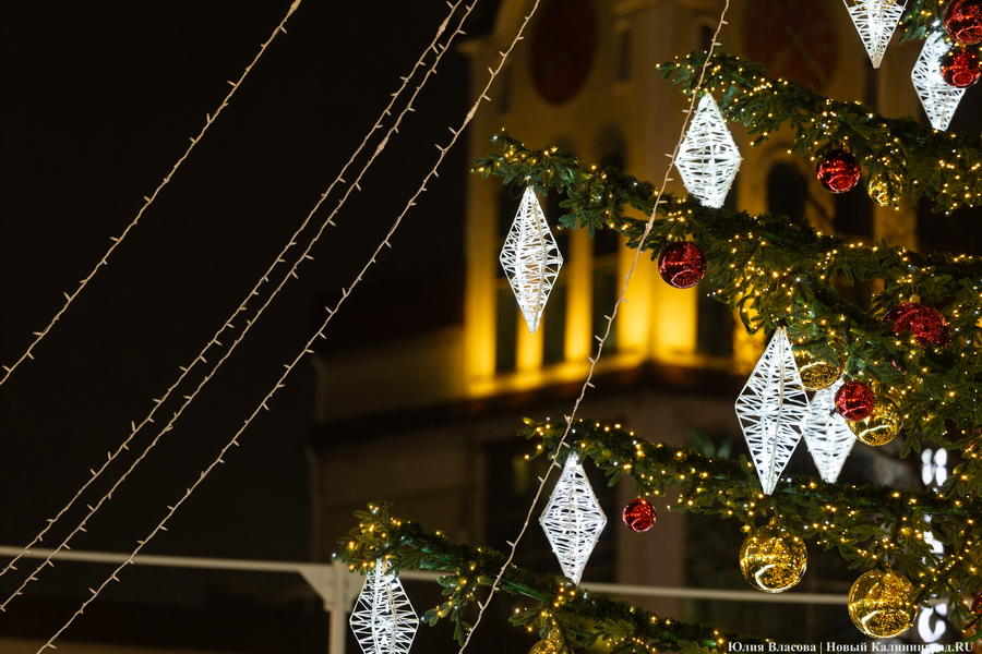 Конусу конец: как выглядит центр Калининграда с новой ёлкой (фото)