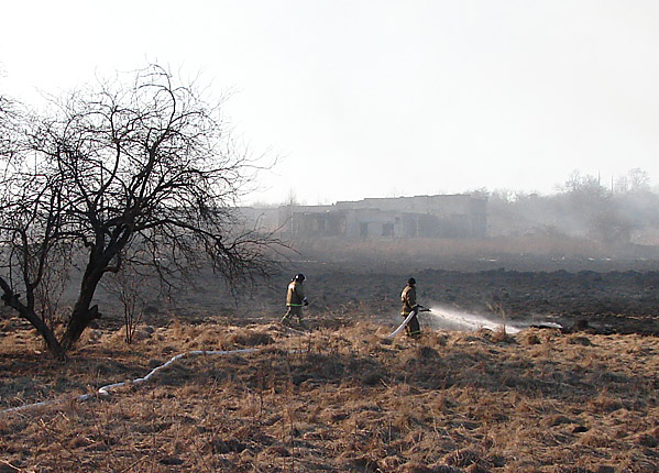 В Советске из-за поджогов травы едва не сгорели жилые дома (+фото)