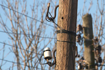 Эксперт: Путин понял, что Калининградской области необходимы разные электростанции