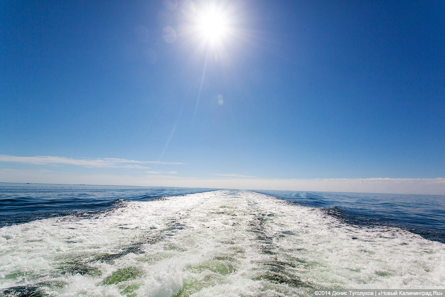 69 лет спустя: церемония памяти в честь найденной советской субмарины «C-4»