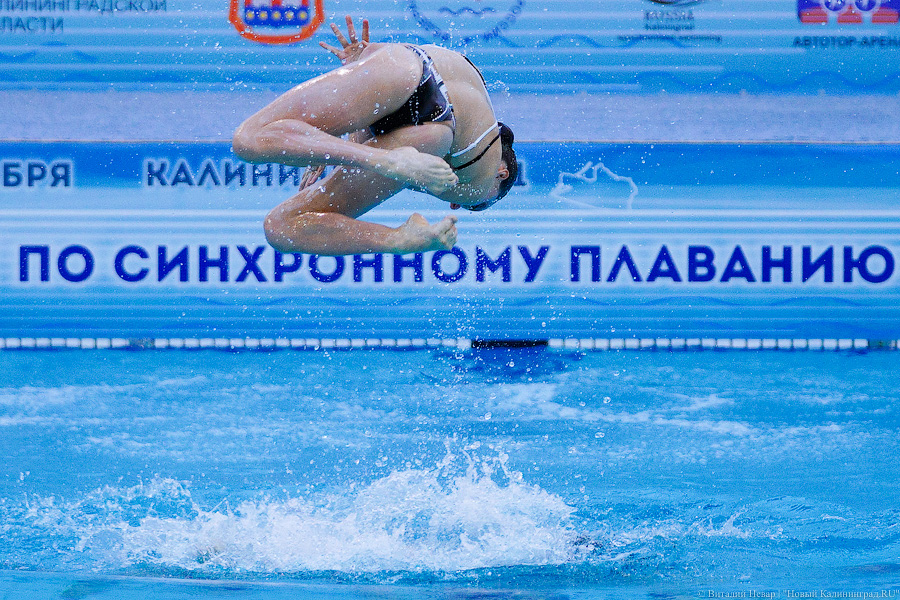 В Калининграде проходит Кубок России по синхронному плаванию. Вот как это выглядит (фото)