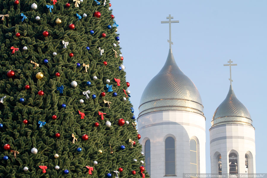 "Много на ёлочке шариков цветных": фоторепортаж "Нового Калининграда.Ru"