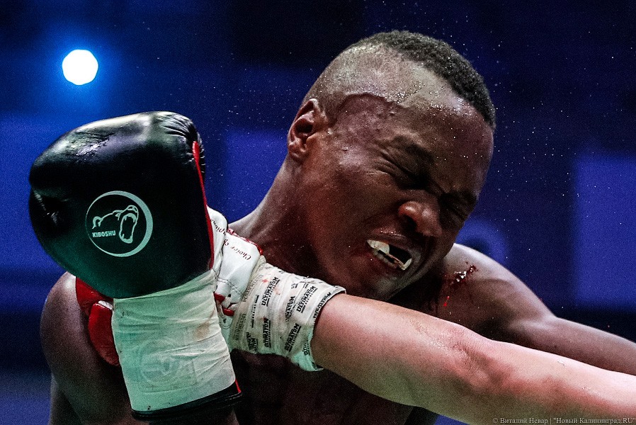 Раздельным решением судей: Чухаджян взял титул WBA International в Калининграде