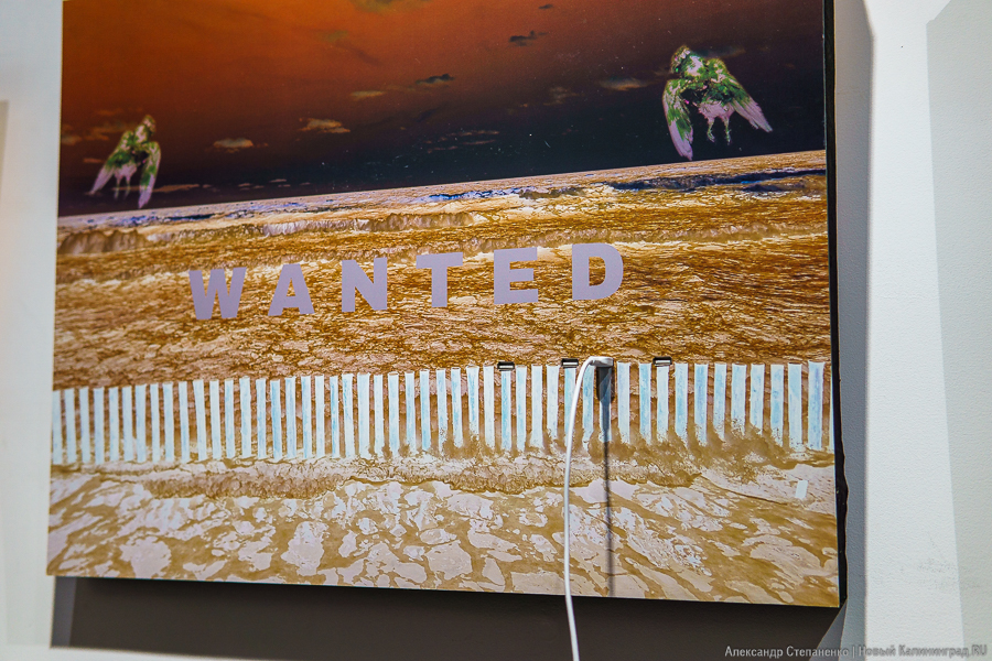 «Порт назначения недоступен»: программисты и художники вместе создают арт-объект (фото)