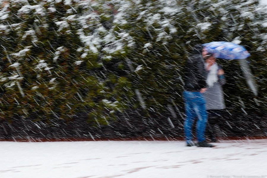 Калининградцам обещают «заряды мокрого снега»