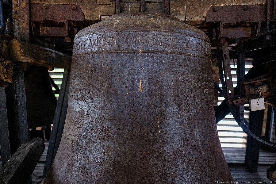 С личного завода кайзера: филармония хочет запустить экскурсии на колокольню (фото)