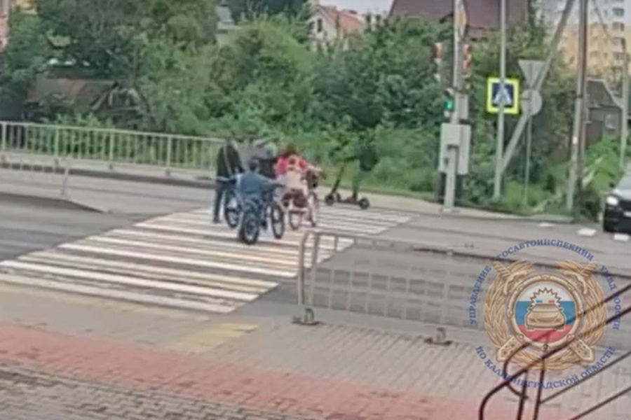 Бастрыкина заинтересовал сбитый электросамокатом 10-летний калининградец