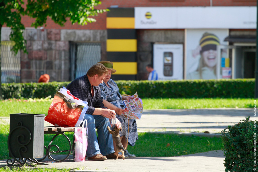 "Любимый город сварщика Цуканова": репортаж "Нового Калининграда.Ru"