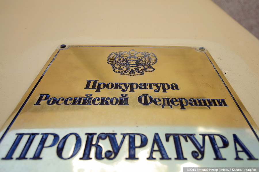 Фото — Виталий Невар, «Новый Калининград.Ru»