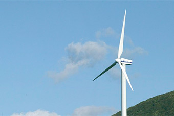 Георгий Боос раскритиковал ветроэнергетику