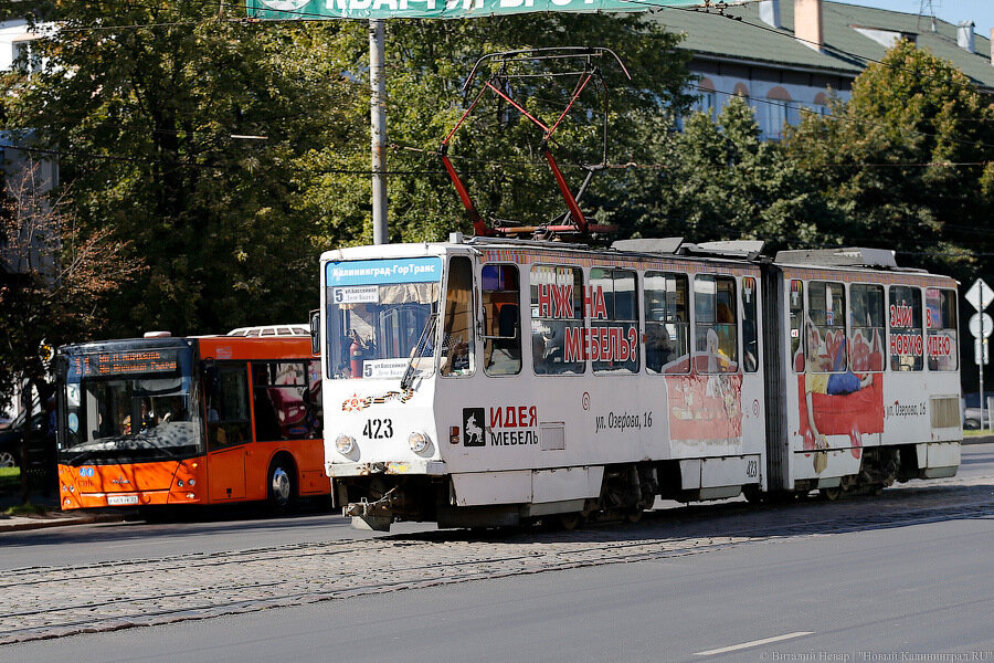 Облвласти: плата за проезд в Калининграде растет, чтобы пассажиры переходили на безнал