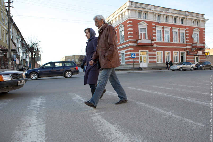 Путин подписал закон, увеличивающий штрафы за отказ водителя пропустить пешеходов