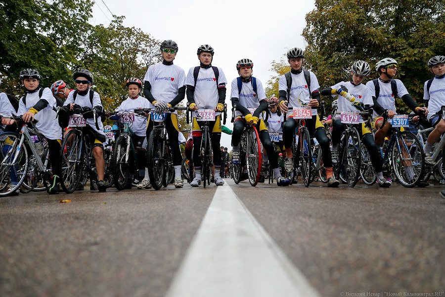 Фото — Виталий Невар, «Новый Калининград.Ru»