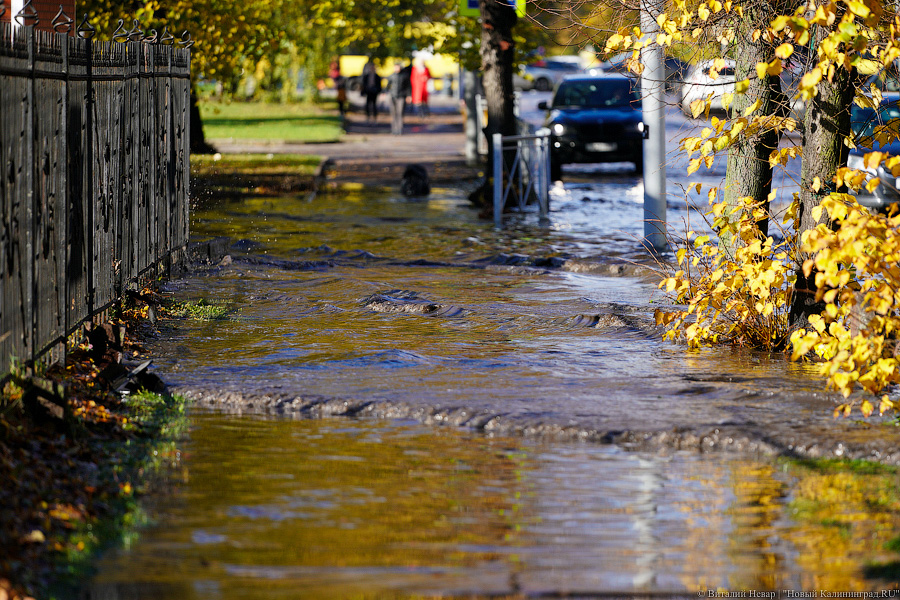 Другой берег улицы: Калининград затопило после шторма (да, опять)