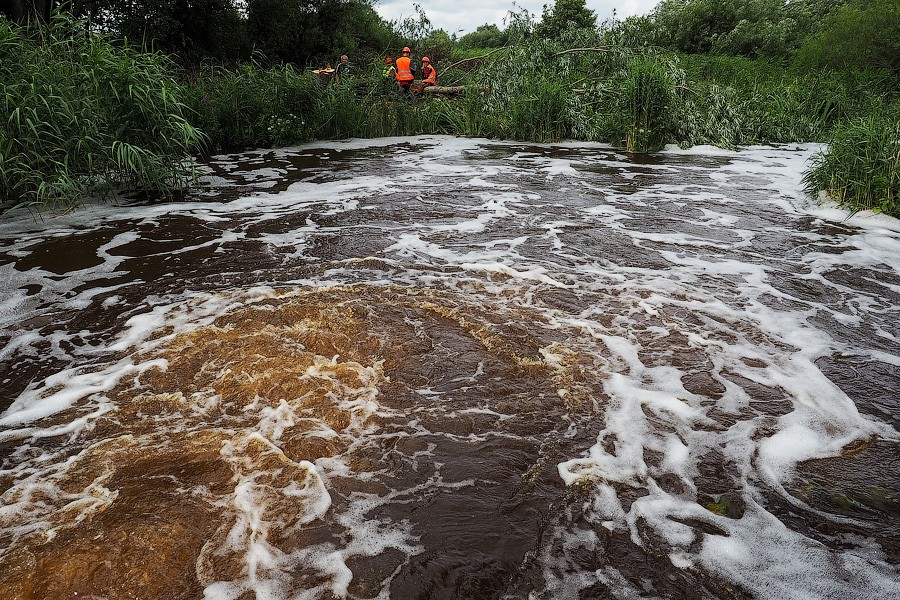 «Операция спасения»: в Полесском районе осушают первый польдер (фото)