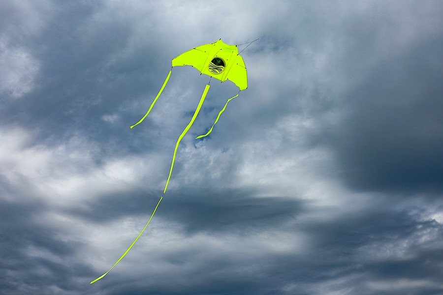 Отчего змеи летают как птицы: на Куршской косе провели фестиваль воздушных змеев (фото)