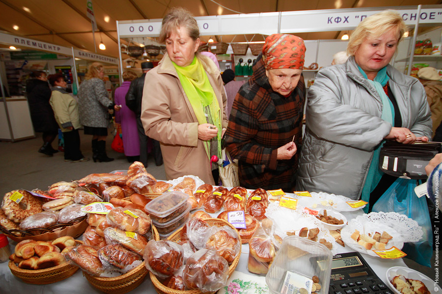 "Агропром-2010": фоторепортаж "Новый Калининград.Ru"