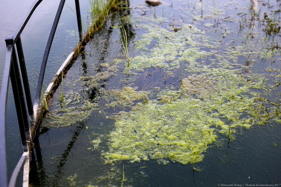 Дорожка для водного велосипеда: как тонут окрестности стадиона в Калининграде