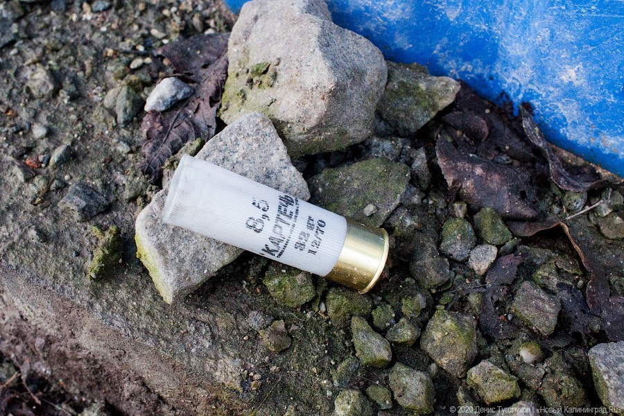 Жена убийцы с рынка в момент стрельбы говорила полиции о его возможном суициде