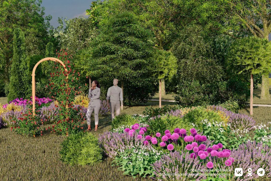 Благоустройство дендропарка в Сосновке доверили подрядчику «Янтарного талисмана»