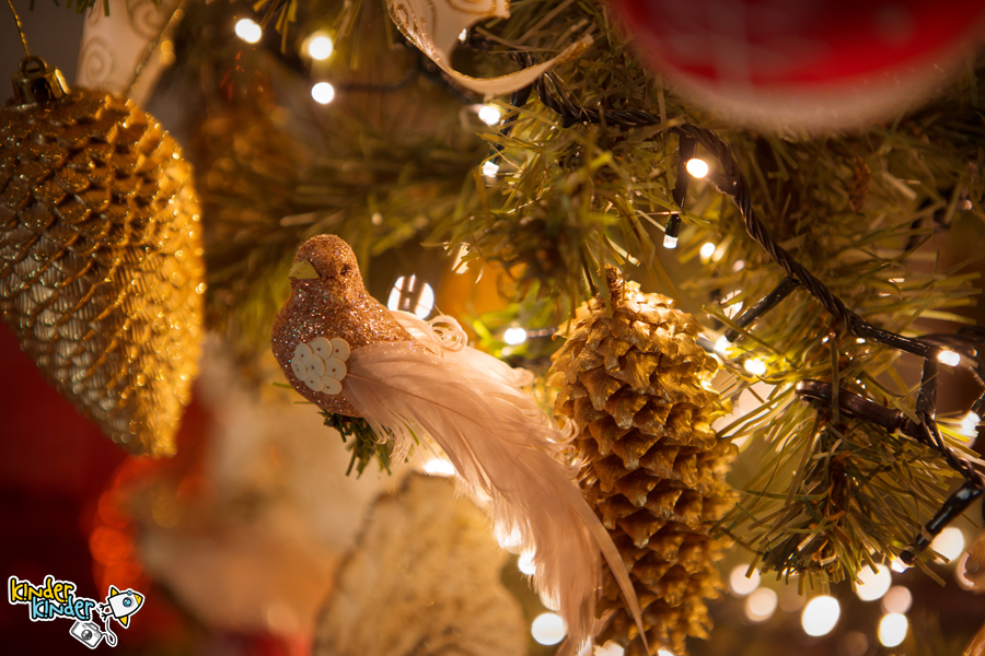 Создайте новогоднюю сказку вашей семьи в фотостудии KinderKinder