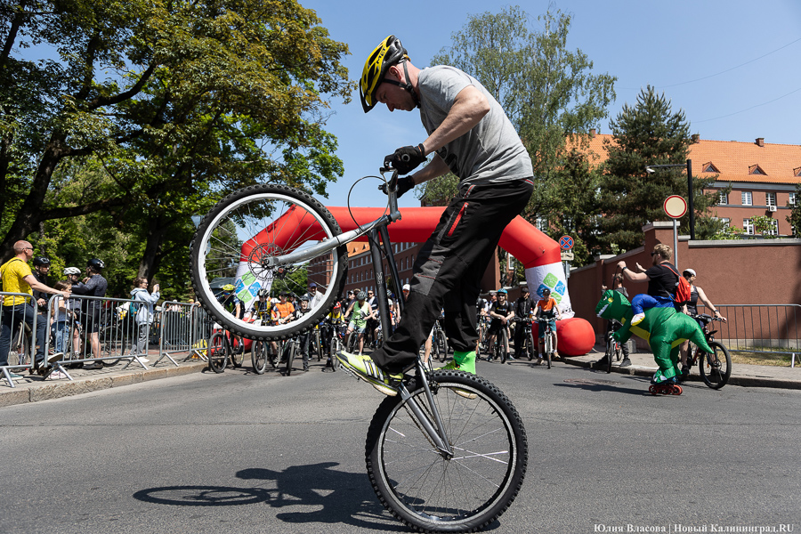 Катись оно всё: в Калининграде прошёл День колеса (фото)