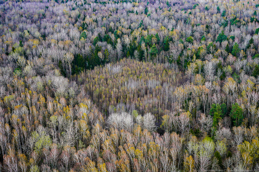 Под винтом вертолёта о чем-то поёт: воздушный парад глазами участника (фото)