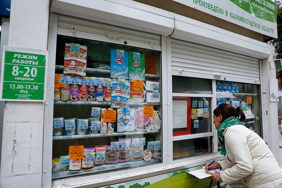 «Куда потом, воровать?»: Калининград на пороге новой палаточной войны