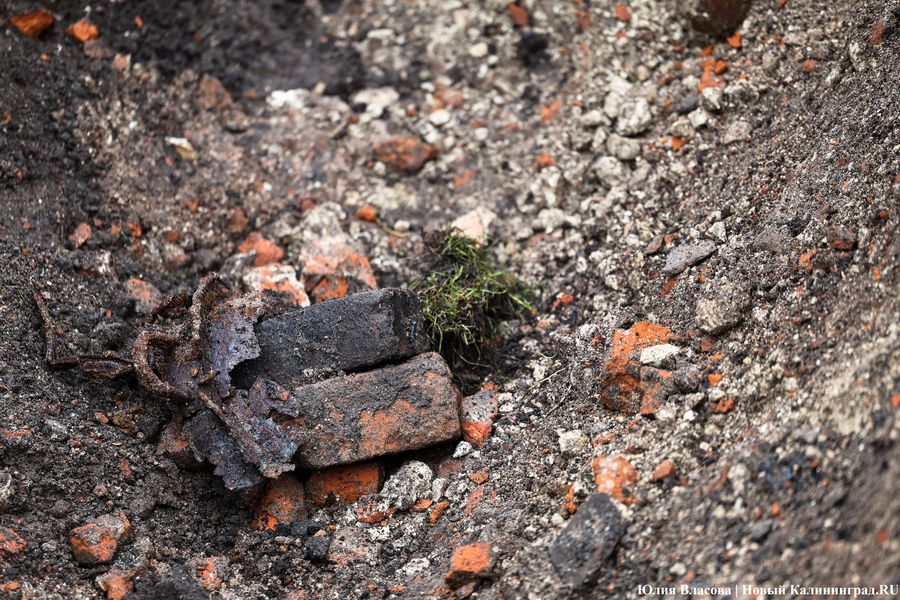 Руины Кнайпхофа: как проходит подготовка к благоустройству острова Канта (фото)